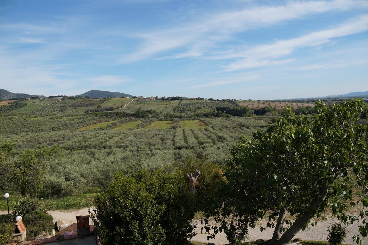 Agriturismo Ss Annunziata Сан-Вінченцо Екстер'єр фото